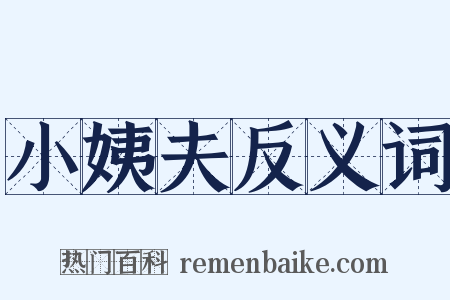 小姨夫反义词是什么意思的图片